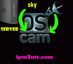 server-Oscam 11727-ICAM-setup-for-SKYDE-free CCcam digi tv oscam icam