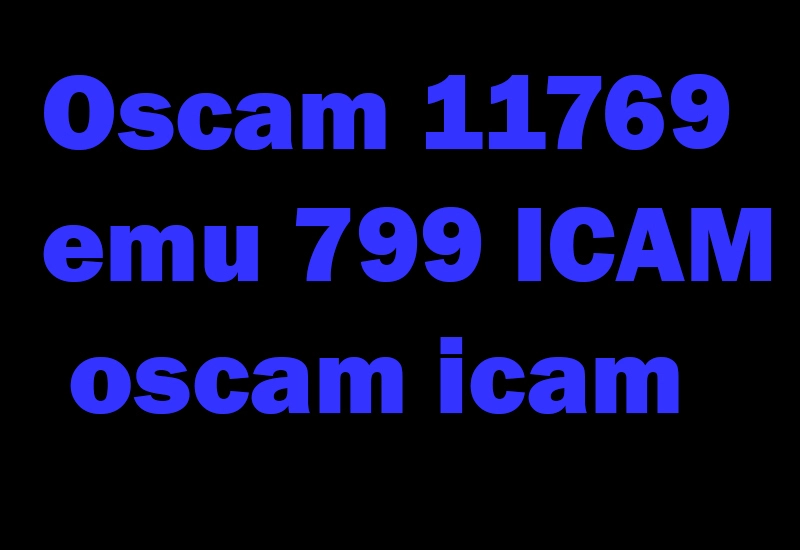 Oscam 11769 emu 799 ICAM- oscam icam-oscam subscription-anbieter-oscam subscription