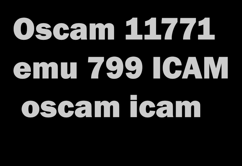 Oscam 11771 emu 799 ICAM- oscam icam-oscam subscription-anbieter-oscam subscription copie