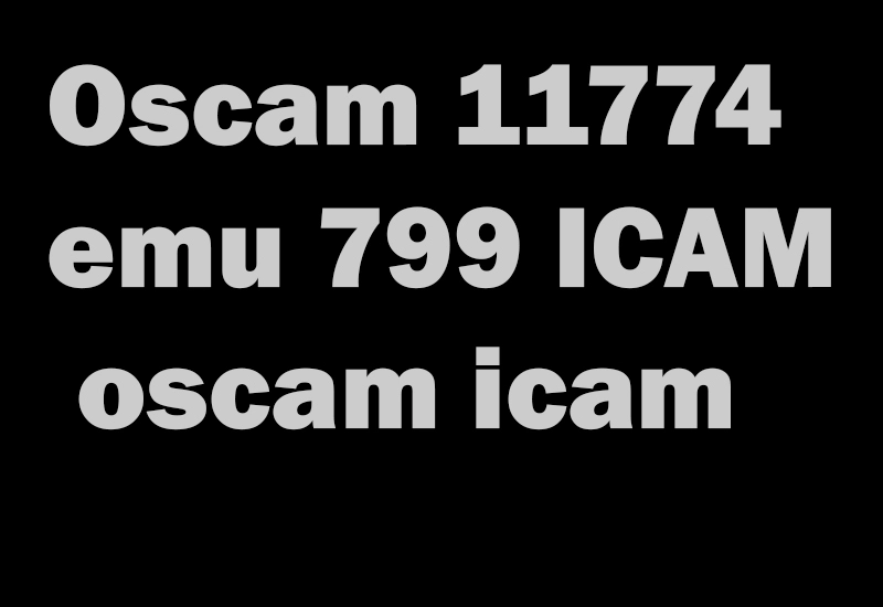 Oscam 11774 emu 799 ICAM- oscam icam-oscam subscription-anbieter-oscam subscription