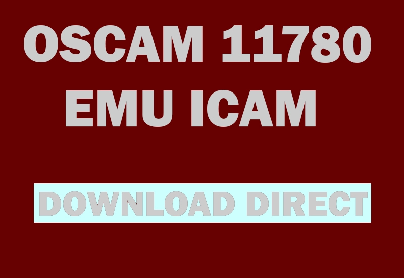 Oscam 11780 emu 799 ICAM- oscam icam-oscam icam test-anbieter-oscam subscription