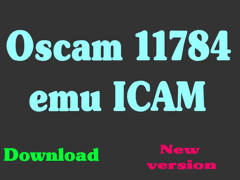 Oscam 11784 emu ICAM- oscam icam-oscam icam test-anbieter-oscam subscription-iptv trial-test iptv