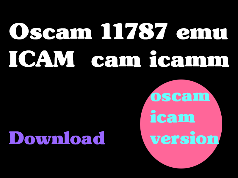 Oscam icam 11787 emu ICAM- oscam icam-oscam icam test-anbieter-oscam subscription